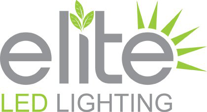 Elite